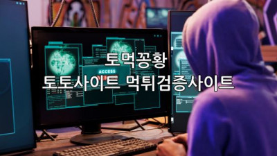 2025년 토토사이트 먹튀검증 동향 파악